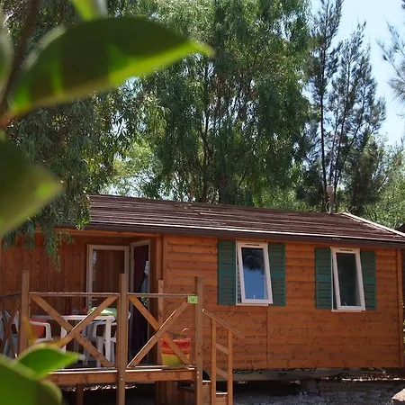 Camping Les Palmiers Hyeres Room photo